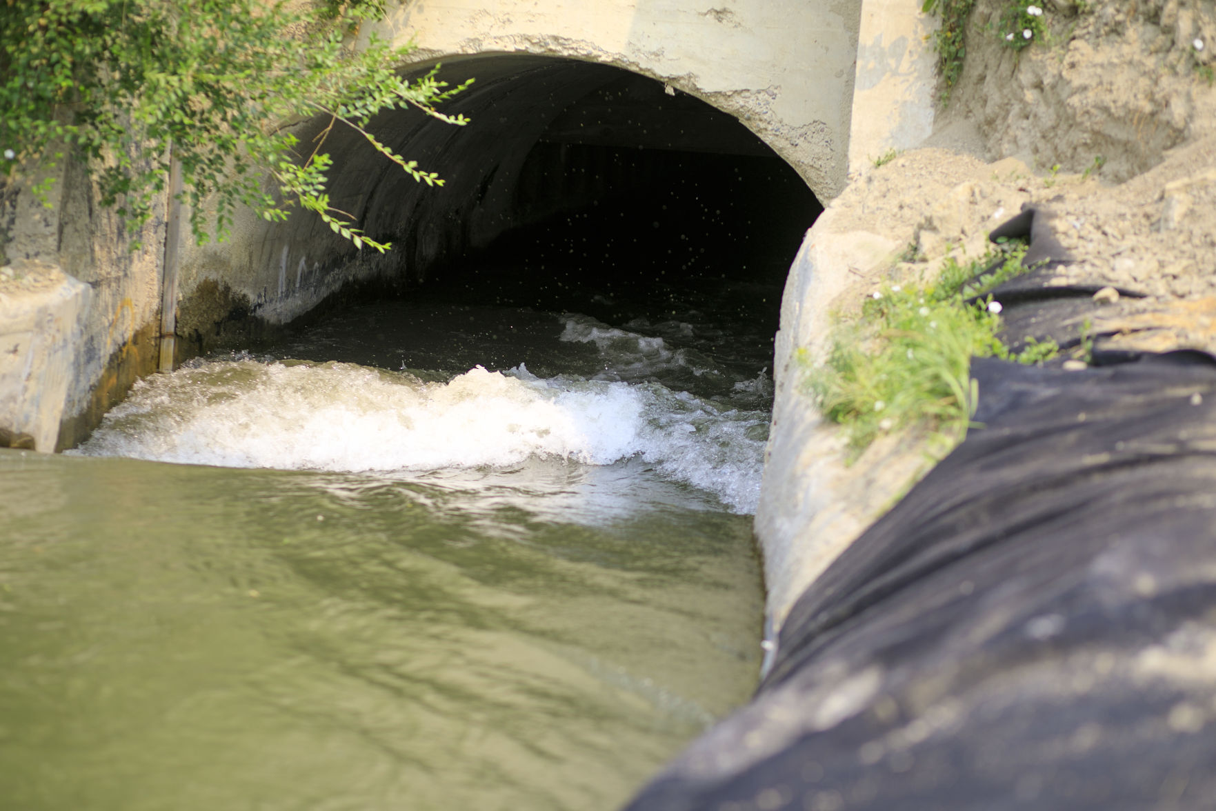 BBWA Ditch
